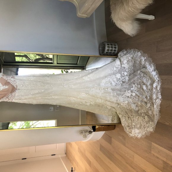 New Wedding Dress PRONOVIAS (Size 8-10) - Picture 8 of 8